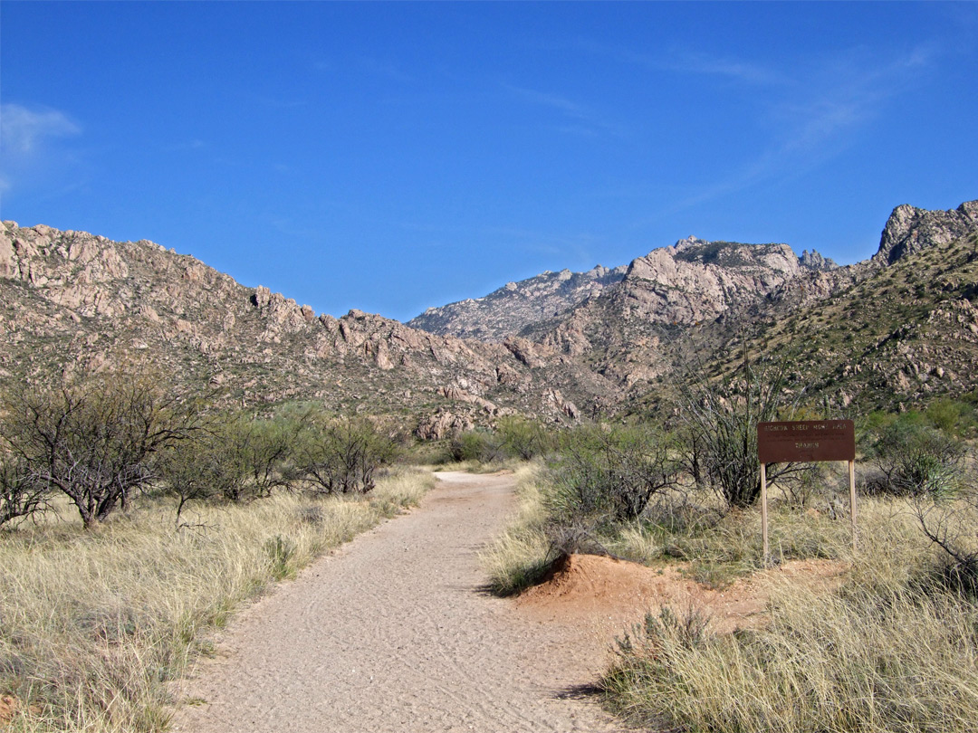 Canyon Loop Trail