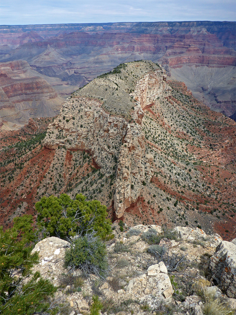 Castor Temple