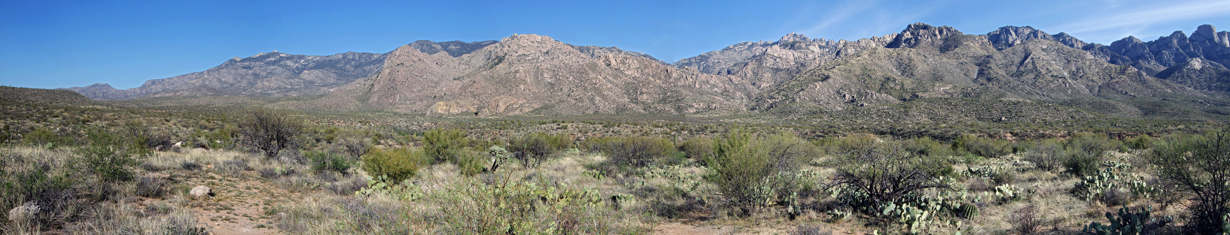 Panorama of the Santa Catalina Mountains