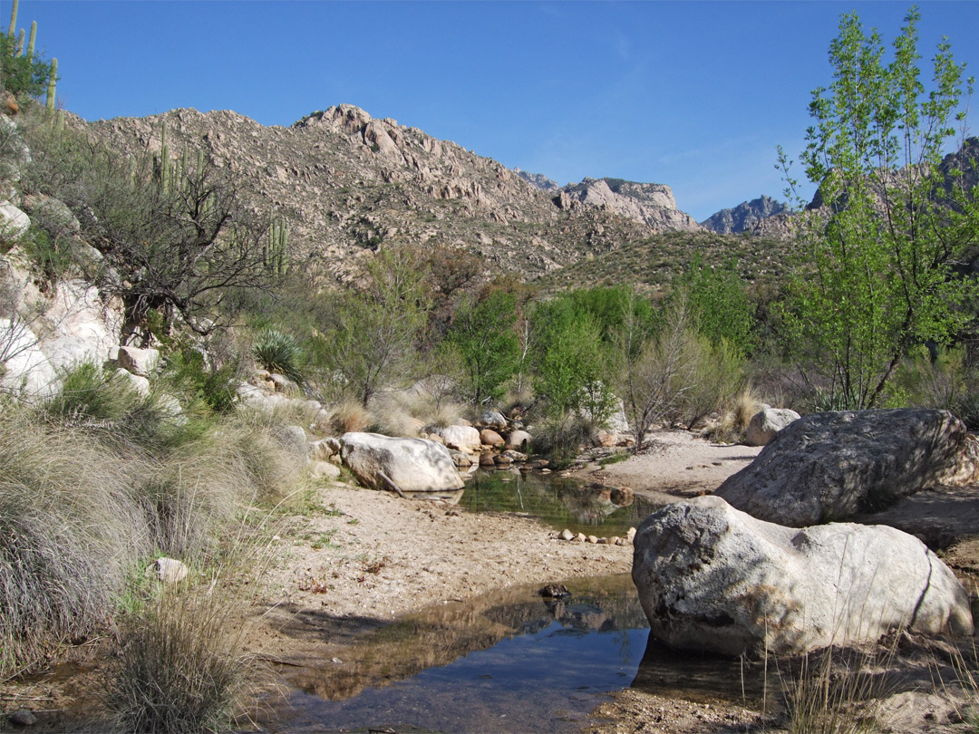 Catalina State Park