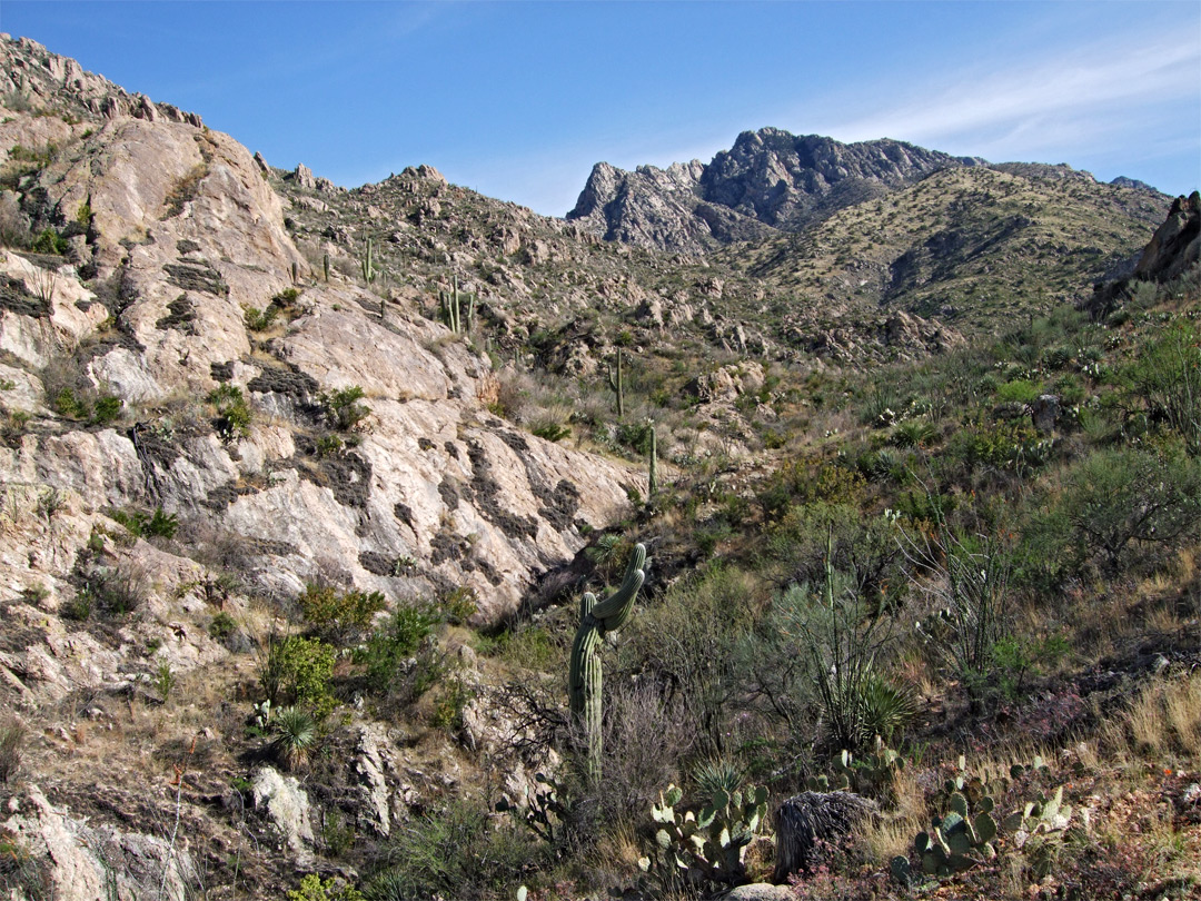 Romero Canyon