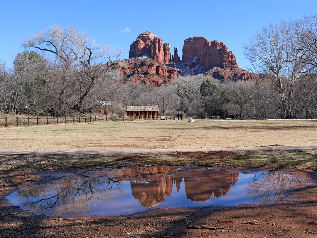 Reflective puddle