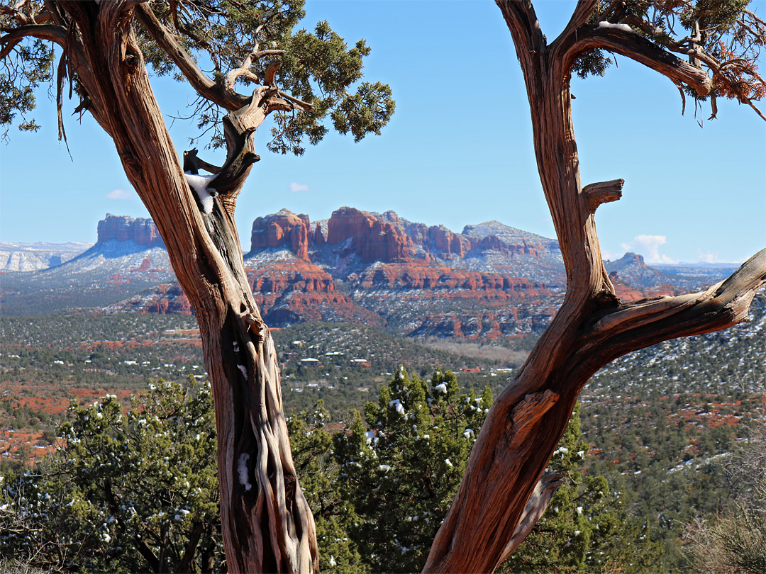 Cathedral Rock