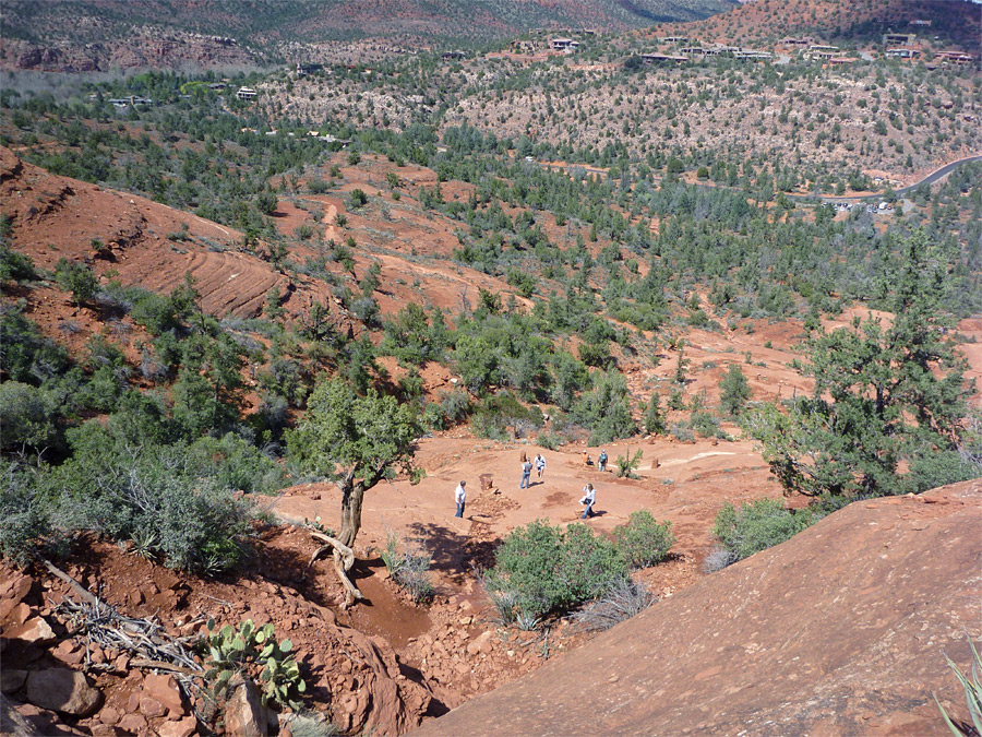 Hikers on the trail