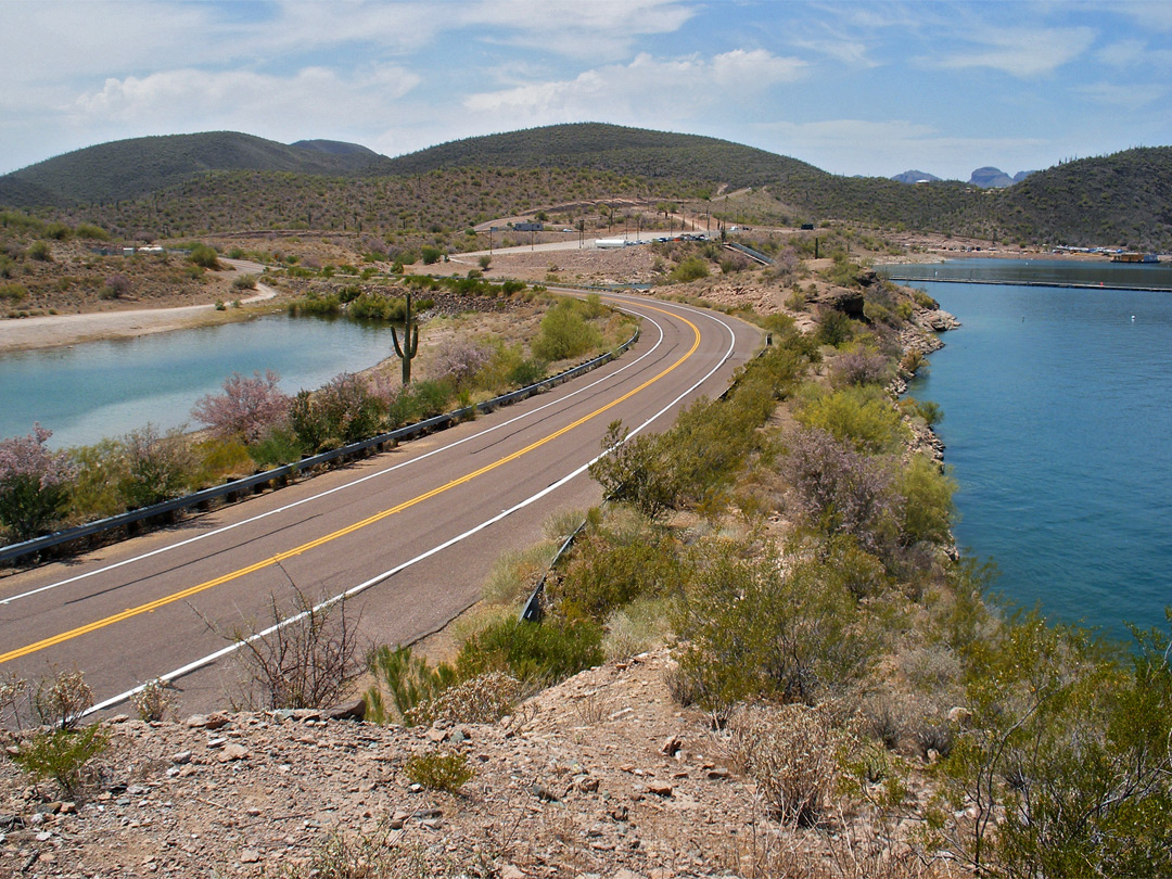 Desert Tortoise Road