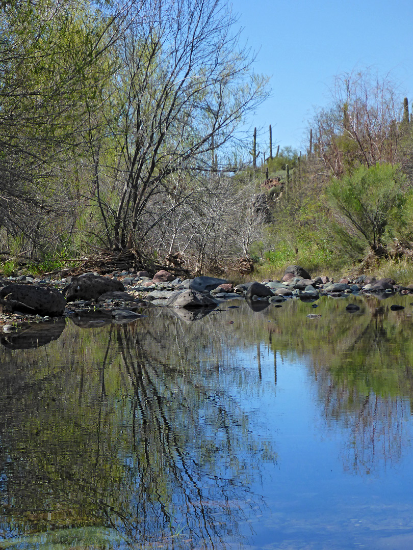 Reflections