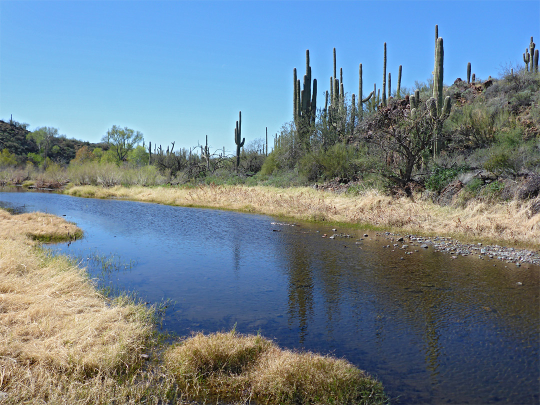 Shallow water