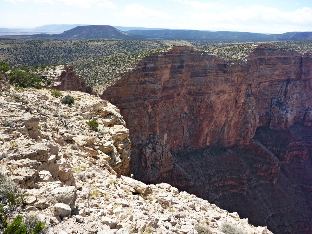 Cedar Mountain and the Palisades of the Desert