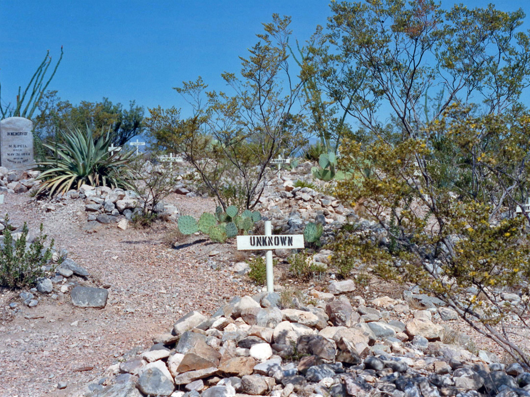 Graves in the cemetery