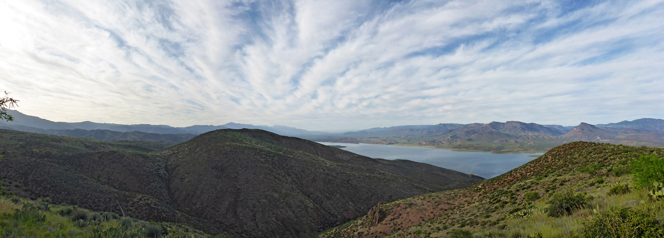 Chuckwalla Canyon