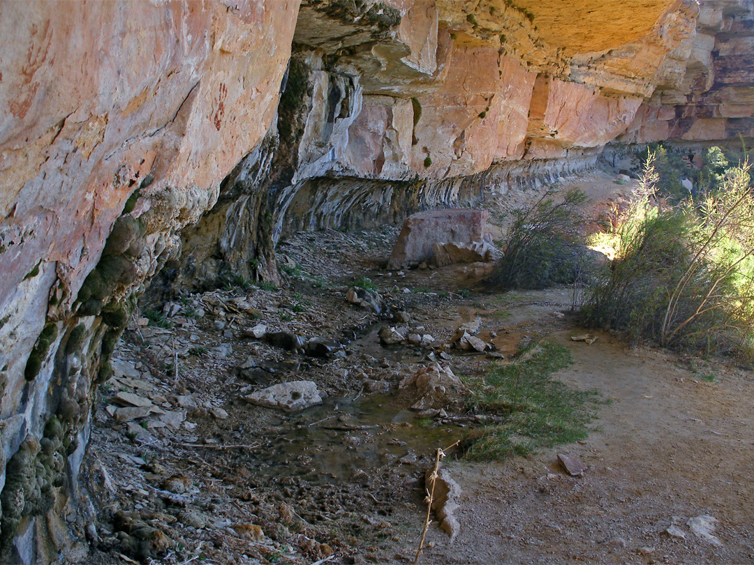 Dripping spring