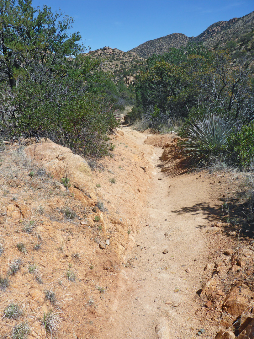 Sandy trail