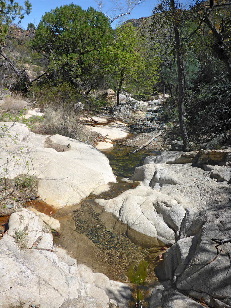 Stream below Cochise Spring