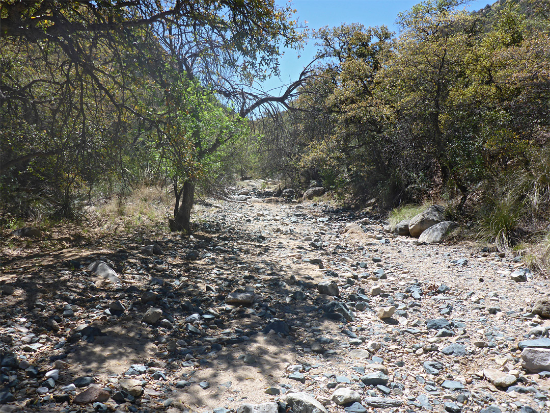 Dry streambed