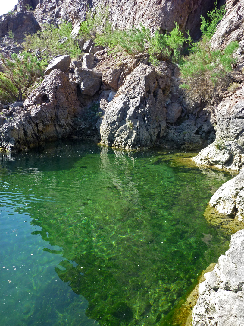 Greenish water