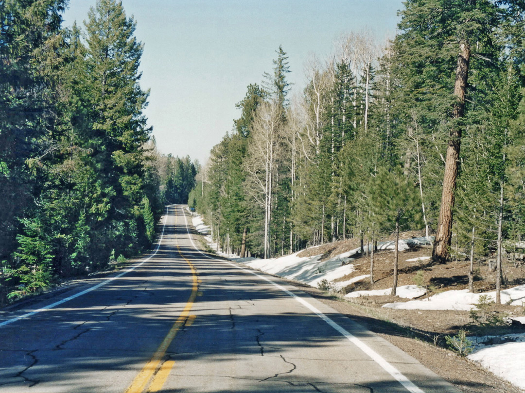 Snow on the Coronado Trail