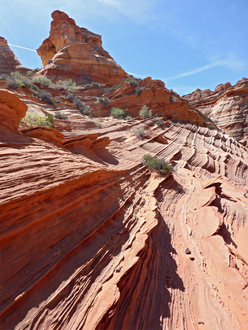 Parallel strata