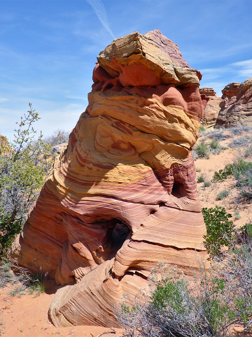 Red/yellow hoodoo