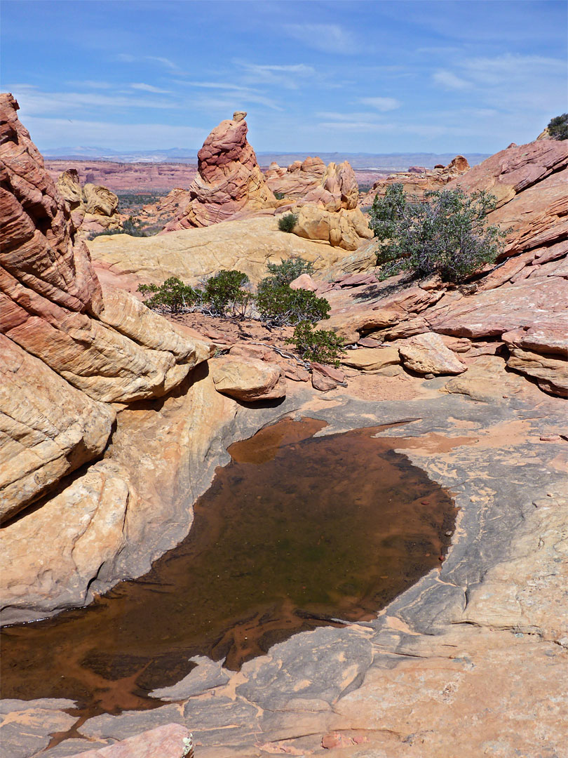 Pool amidst slickrock