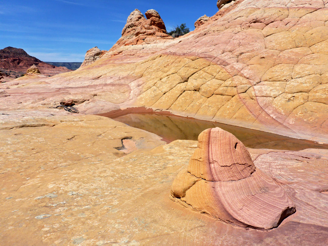 Half and half rock