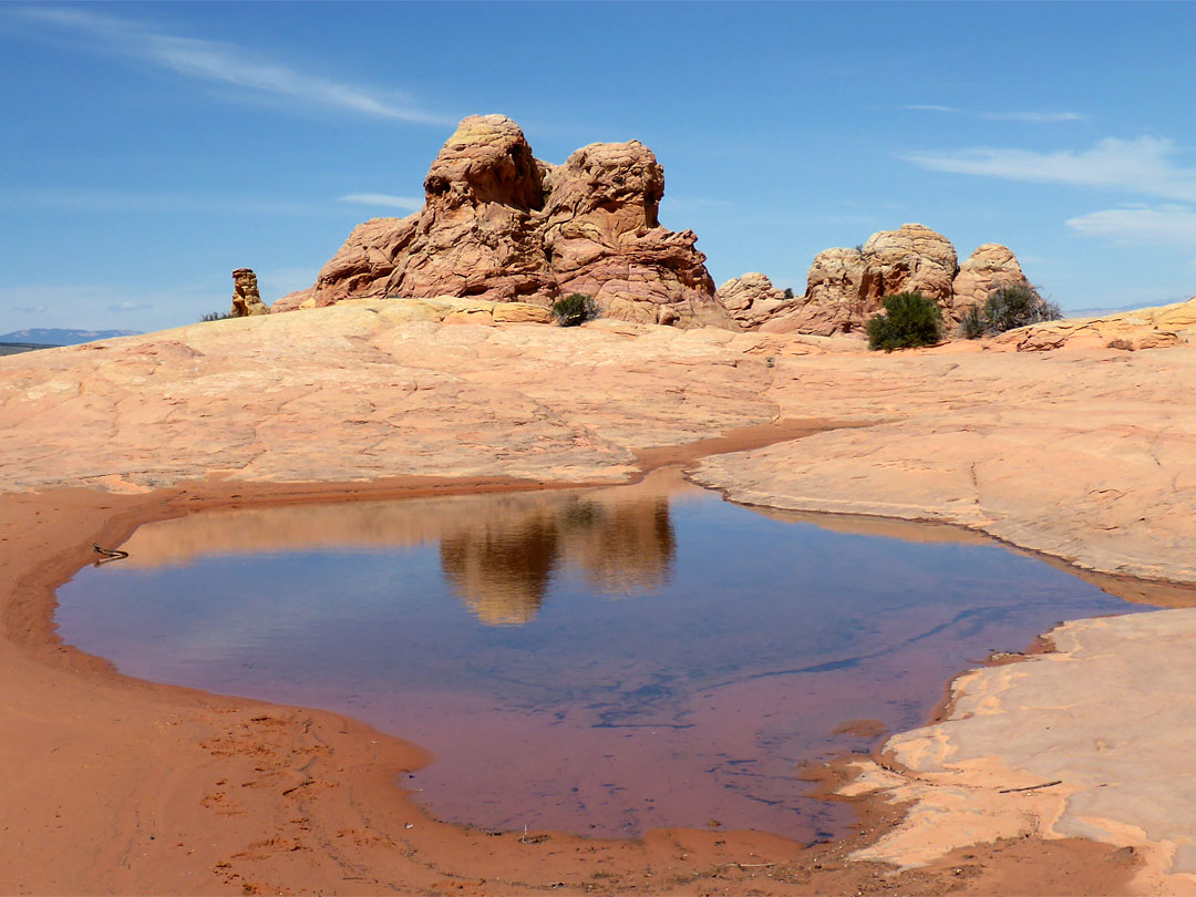 Reflections in a pool