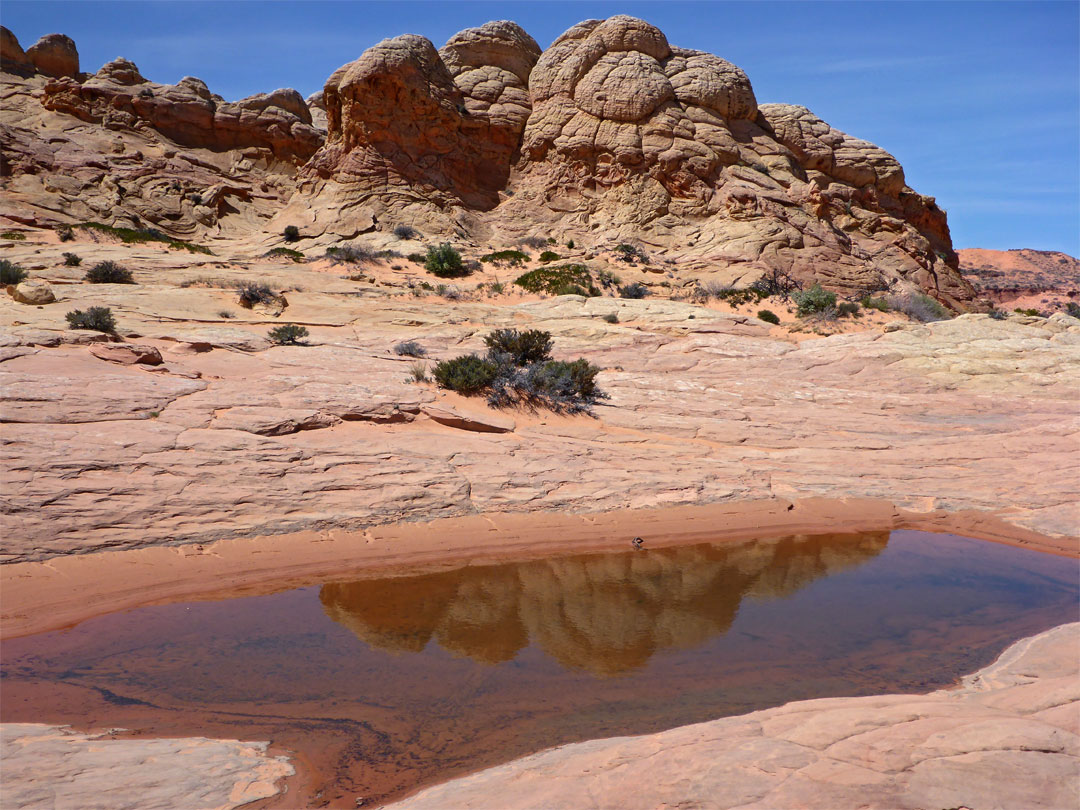 Pool and slickrock