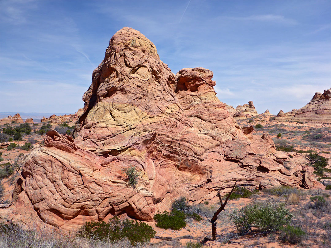 Distorted rocks