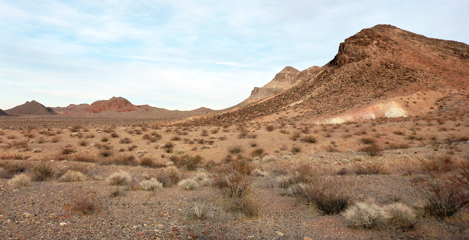 Desert near the road