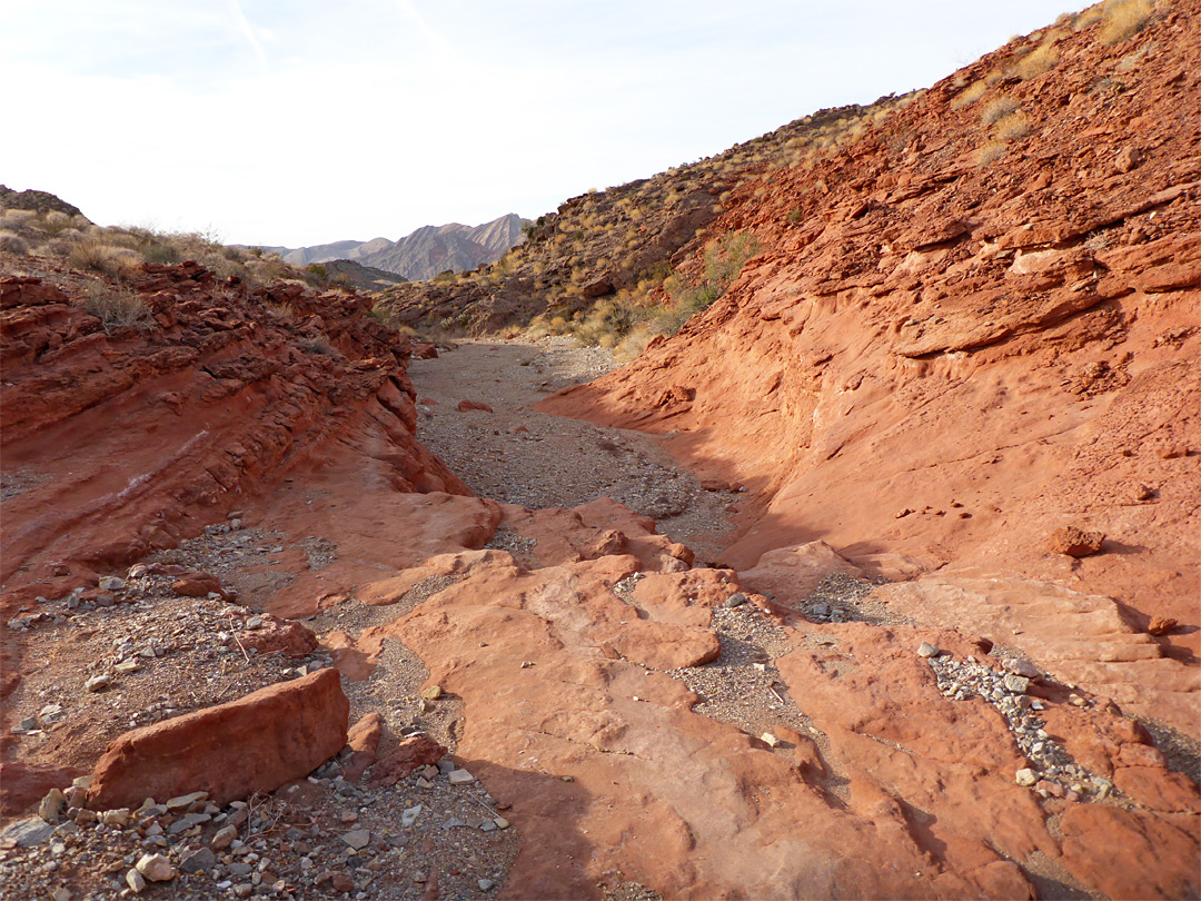Red rocks