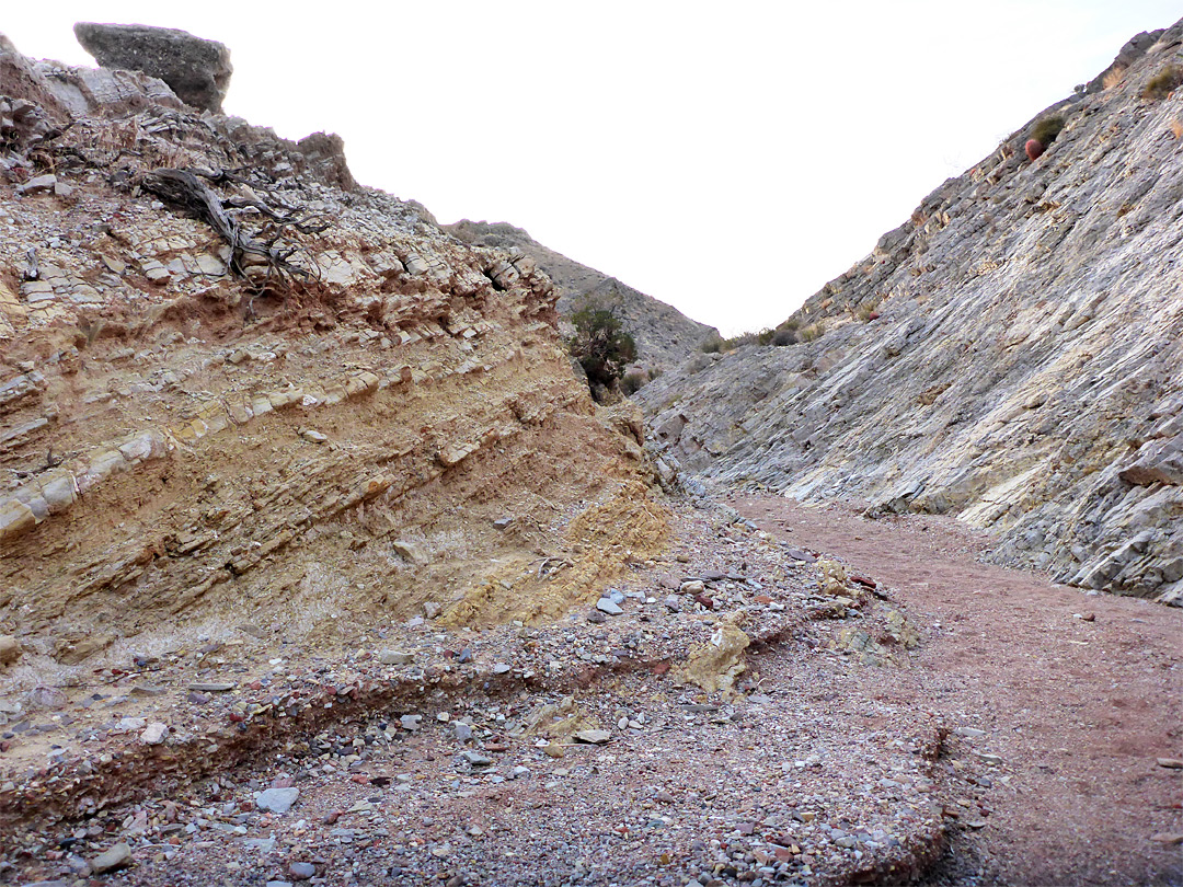 Gravelly streambed