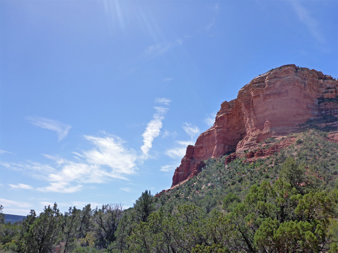 Trees below the butte