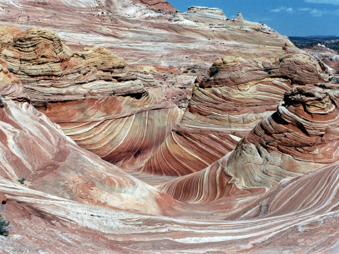 Wide view of the Wave