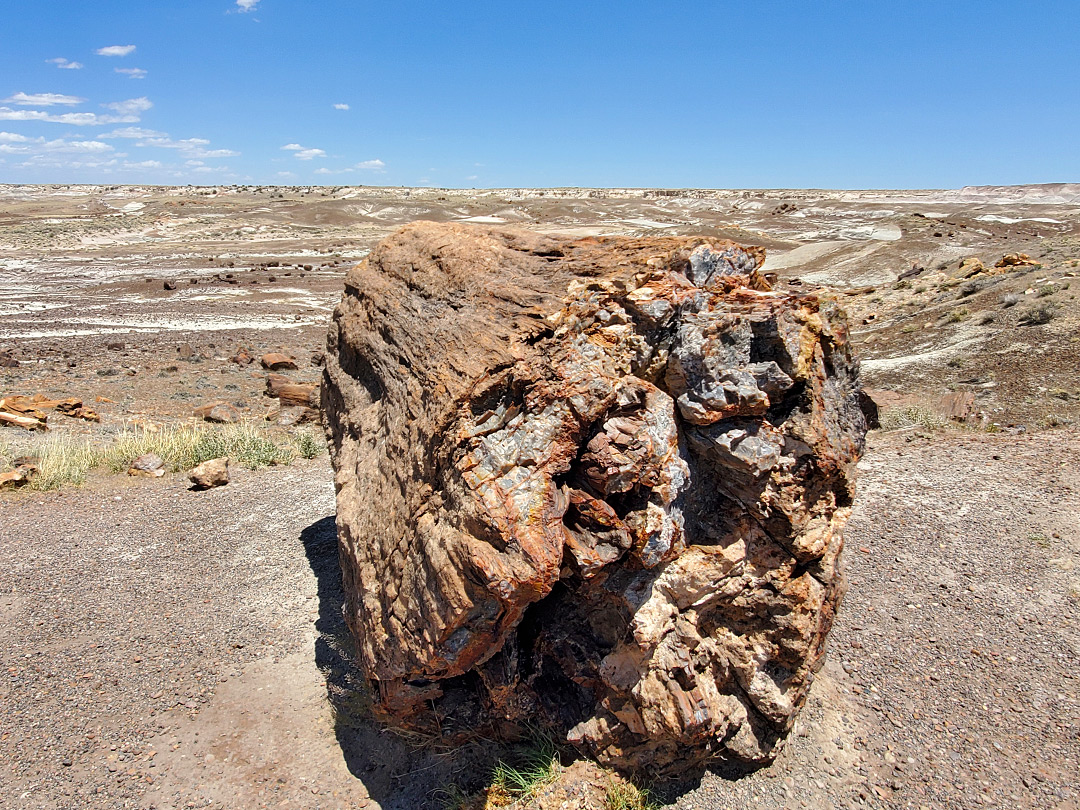 Log and badlands