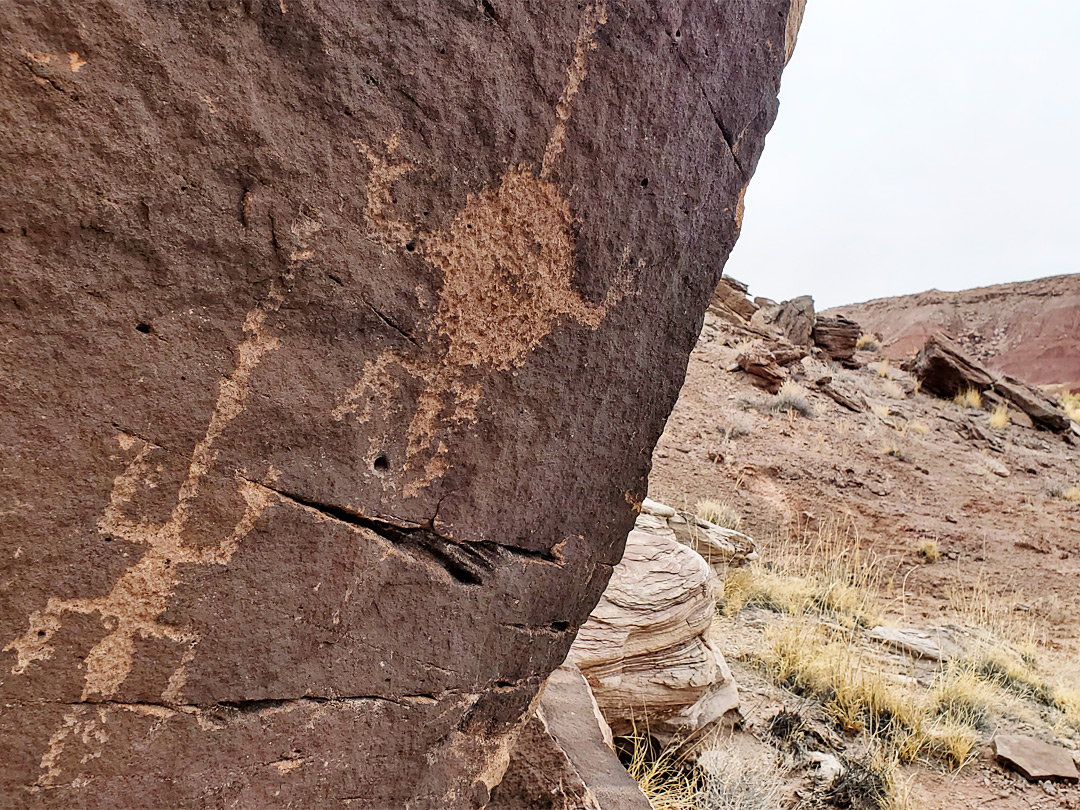 Two petroglyphs