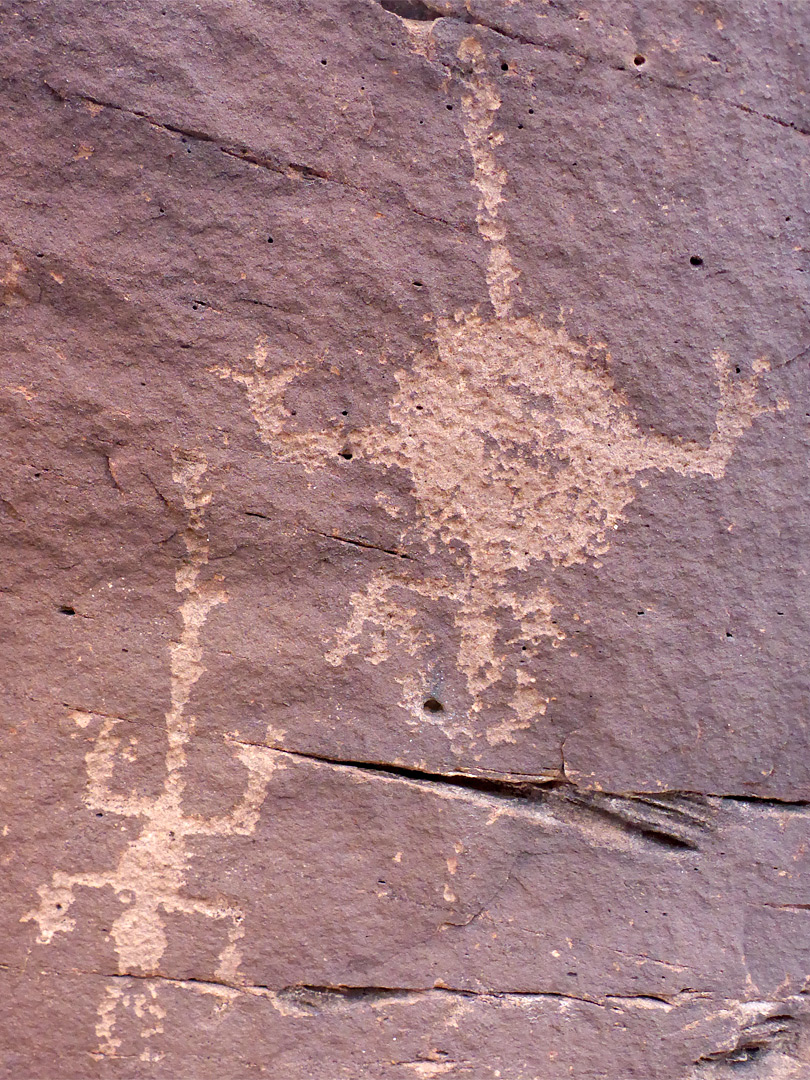 Lizard petroglyphs