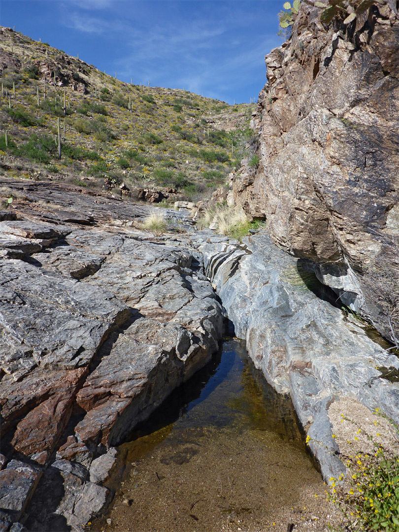 Pool and rocks