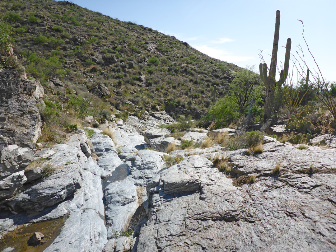 Rocky streamway