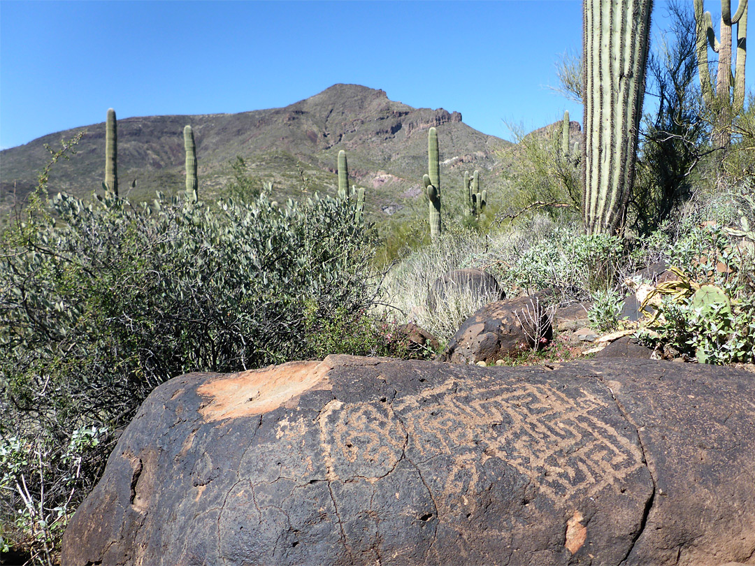 Petroglyphs on a boulder