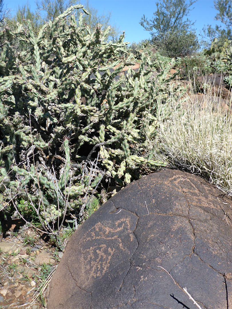 Faint petroglyphs