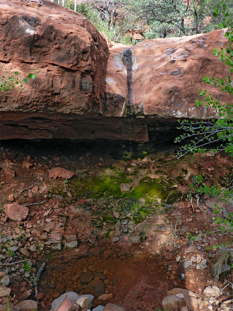 Dripping falls