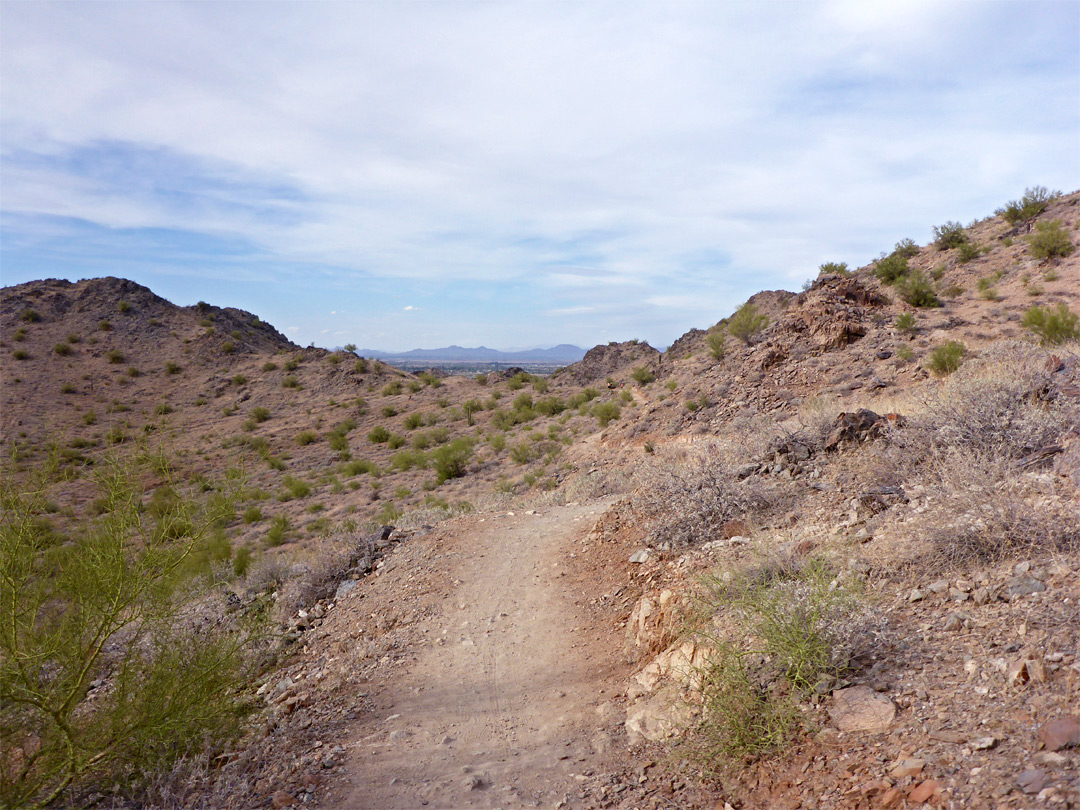 Dynamite Trail