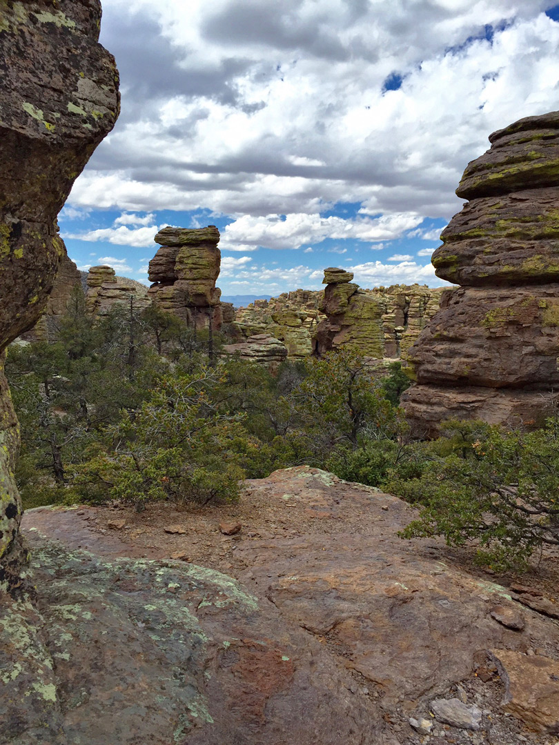 Trees and pinnacles
