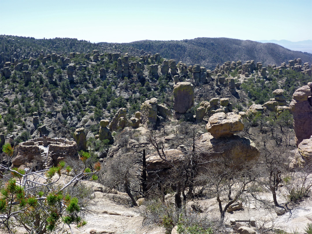 Rocks near Massai Point