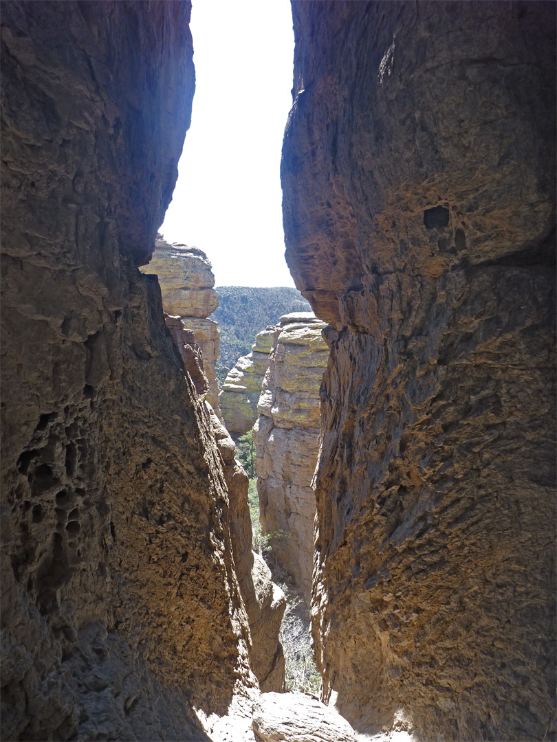 Narrow ravine: Big Loop Trail, Chiricahua National Monument, Arizona