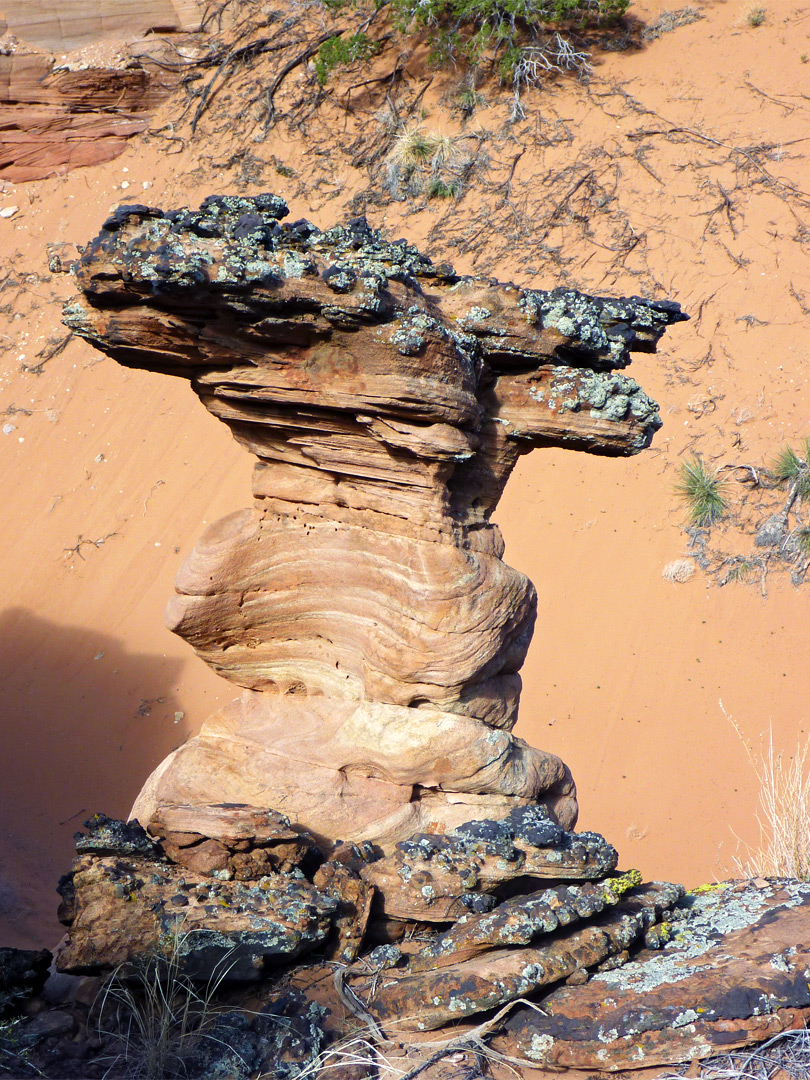 Wavy hoodoo