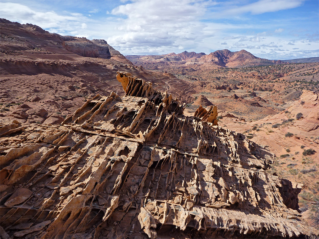 Thin-layered outcrop