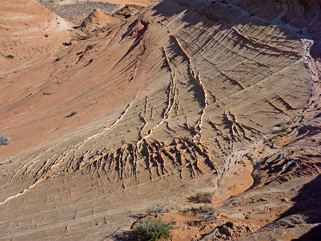 Sandstone slope