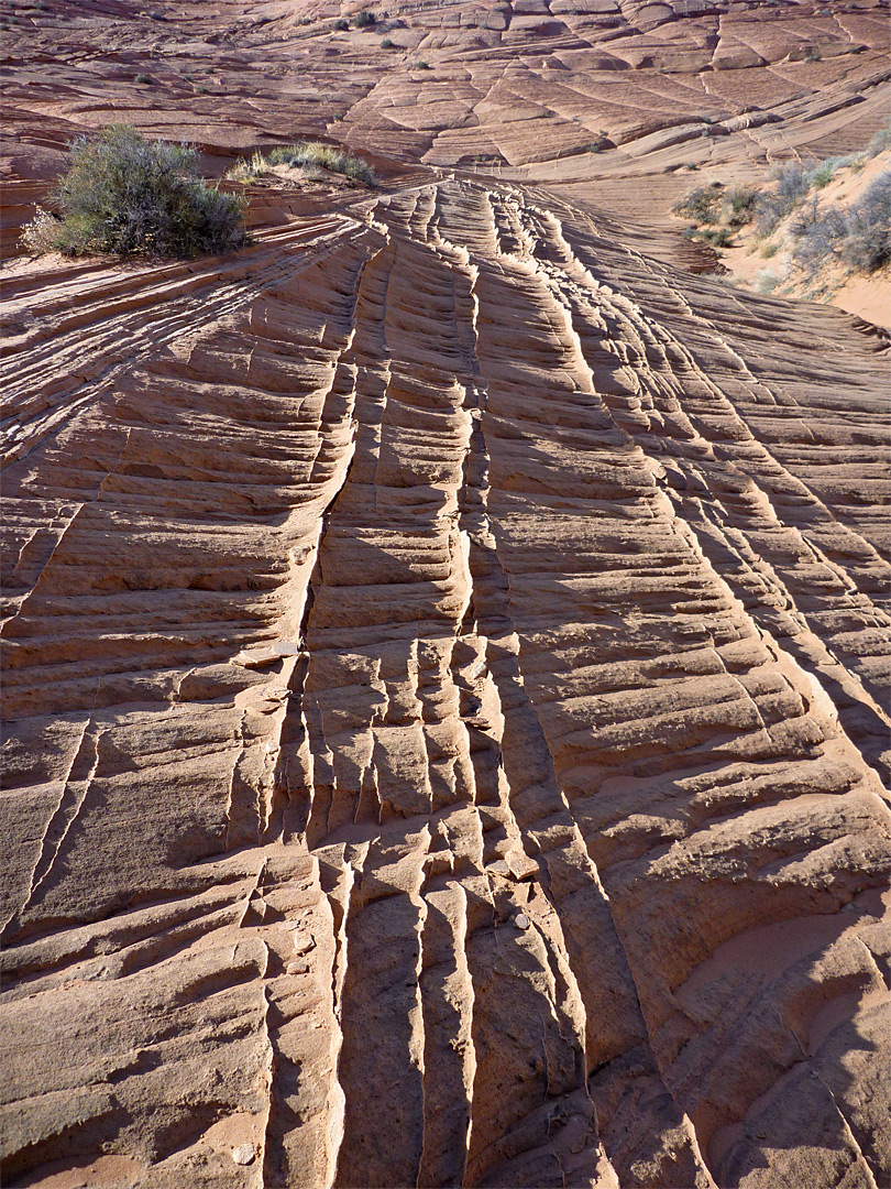 Angular formations