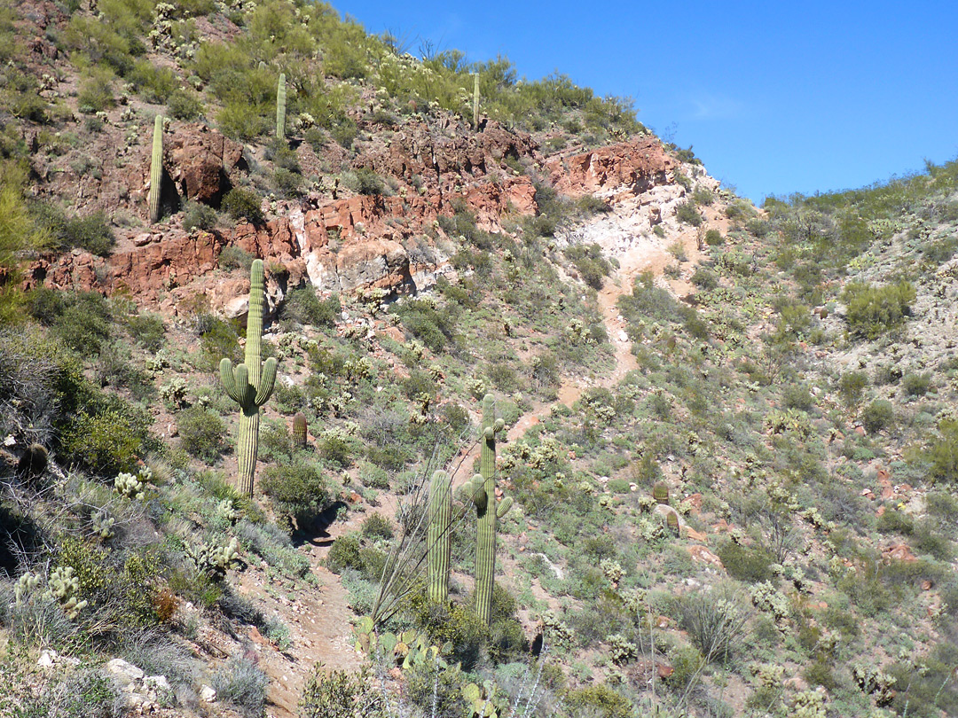 Path to a saddle
