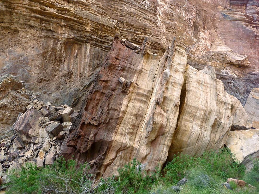 Fallen boulder